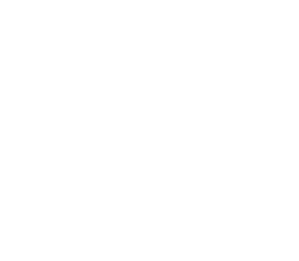 The Cadet